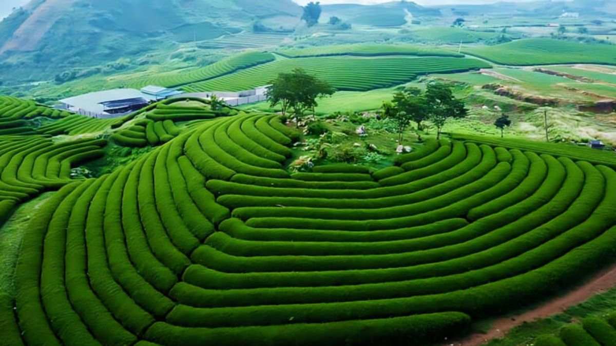 Các quán ăn ngon và rẻ ở Sài Gòn ( TP Hồ Chí Minh )